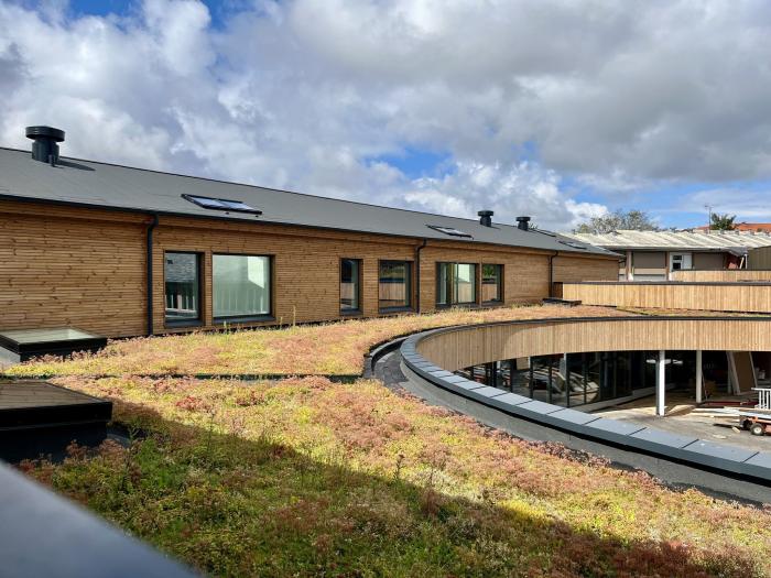 Billede af sedumtag på Heerup Skole