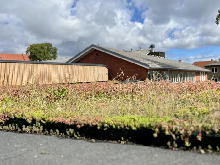 Billede af biodiversitet på Heerup Skole