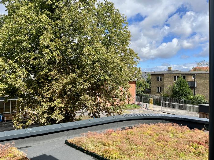 Billede af biodiversitet på Heerup Skole