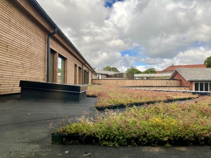 Billede af biodiversiteten på Heerup Skole